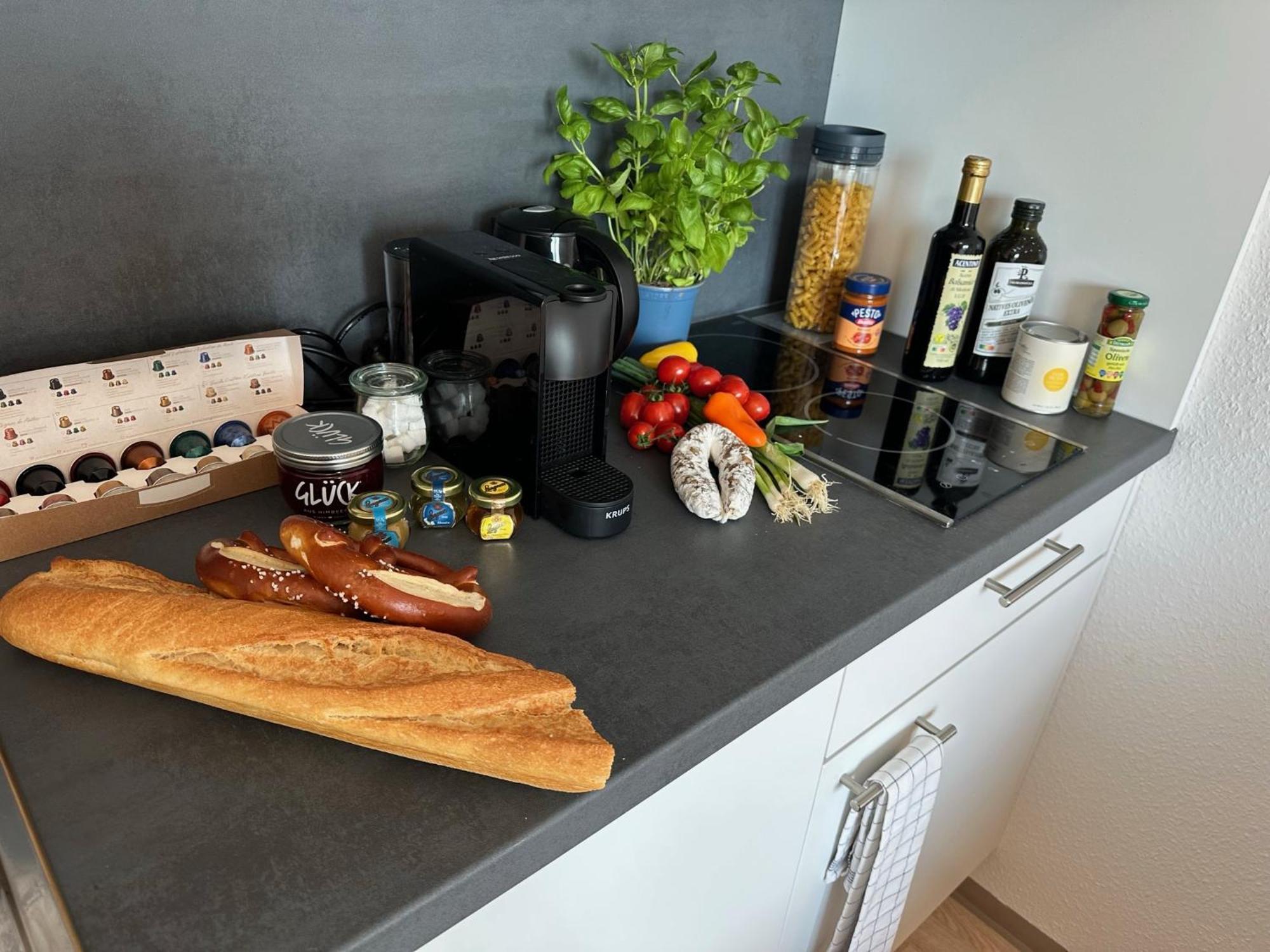Stilvolles Und Modernes Appartement Mit Sonnigem Balkon In Flughafen- Und Messenaehe 31 Leinfelden-Echterdingen Extérieur photo